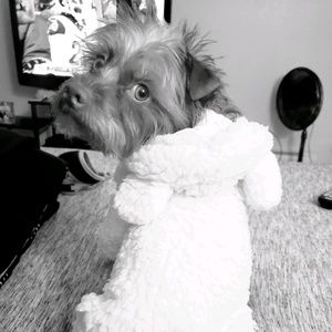 Meet your Posher, Kayla